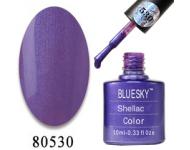 - (Shellac) bluesky 530 (    )